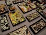 DSC02051.jpg 