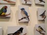 DSC02082.jpg 